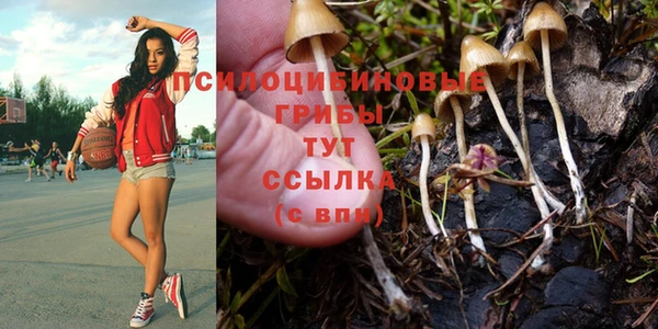 прущие крисы Армянск