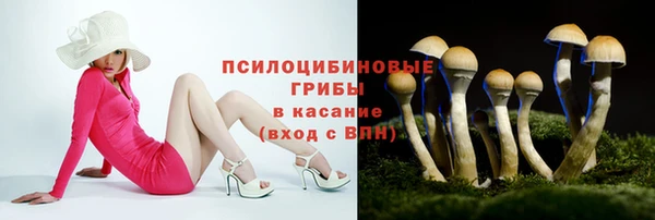 кокс Арсеньев