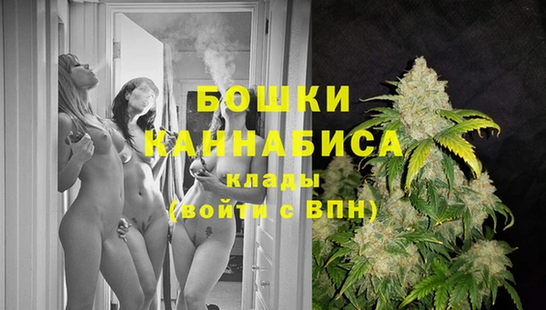 прущие крисы Армянск