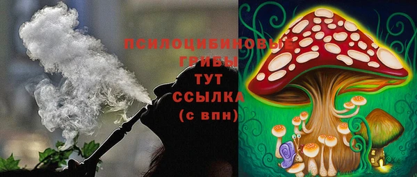 спиды Снежногорск
