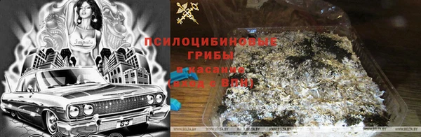 дмт Аркадак