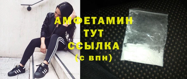 дмт Аркадак